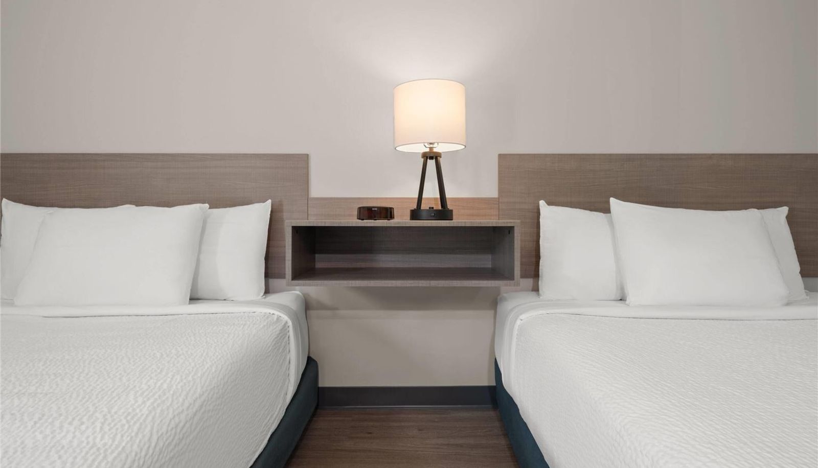 Room - ECHO Suites Extended Stay by Wyndham Johnson City Medical CR