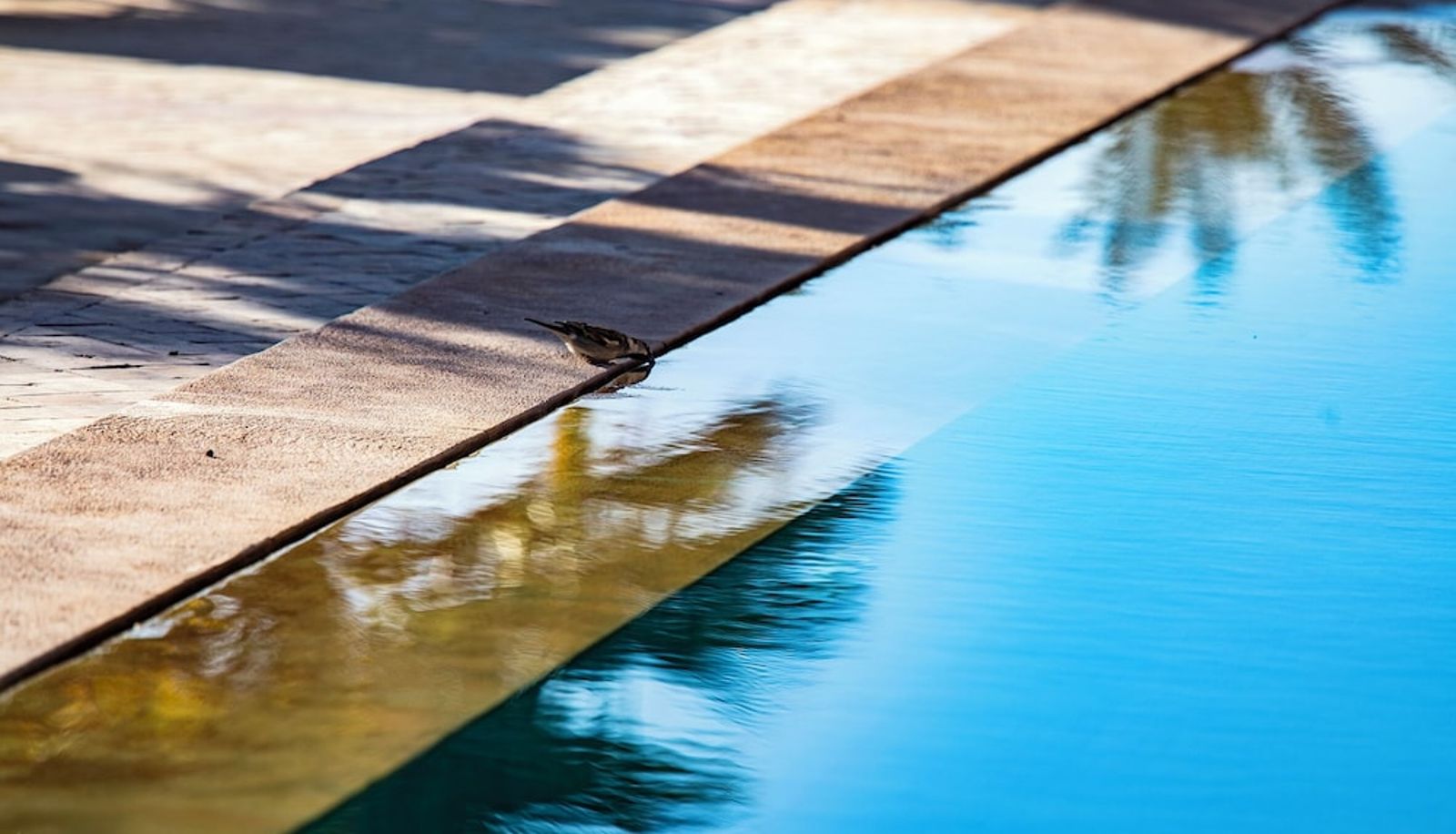 Pool - Hotel Kanz Erremal