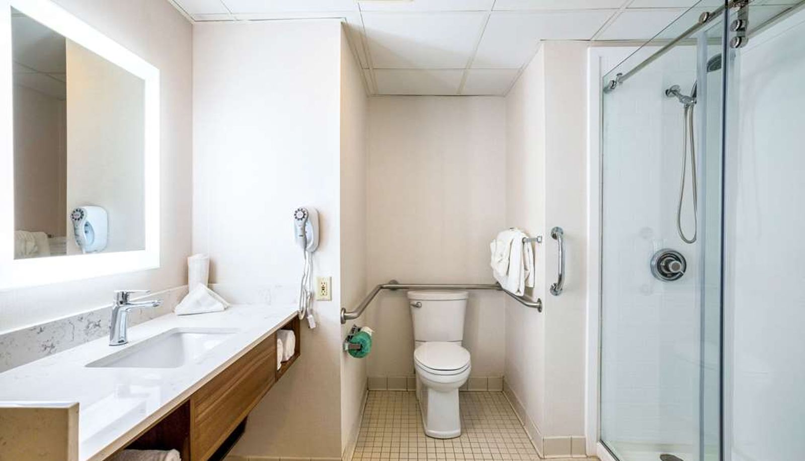 Suite - Quality Suites Lansing West