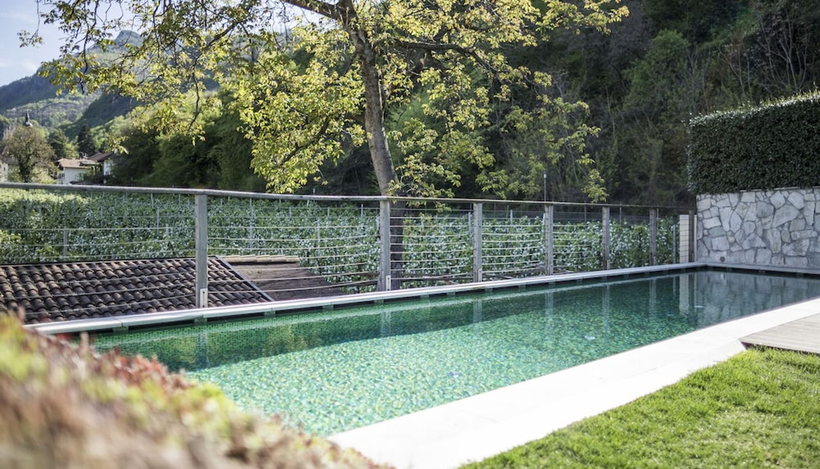 Piscina - Boutique Hotel Zum Rosenbaum Hotel