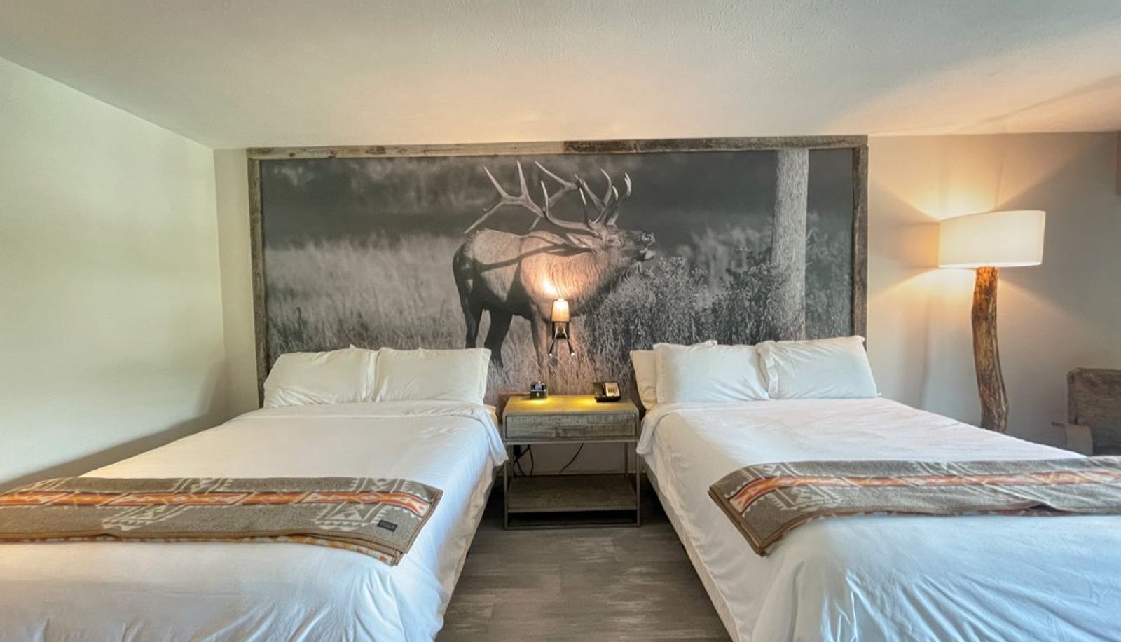 Suite - Chetola Resort