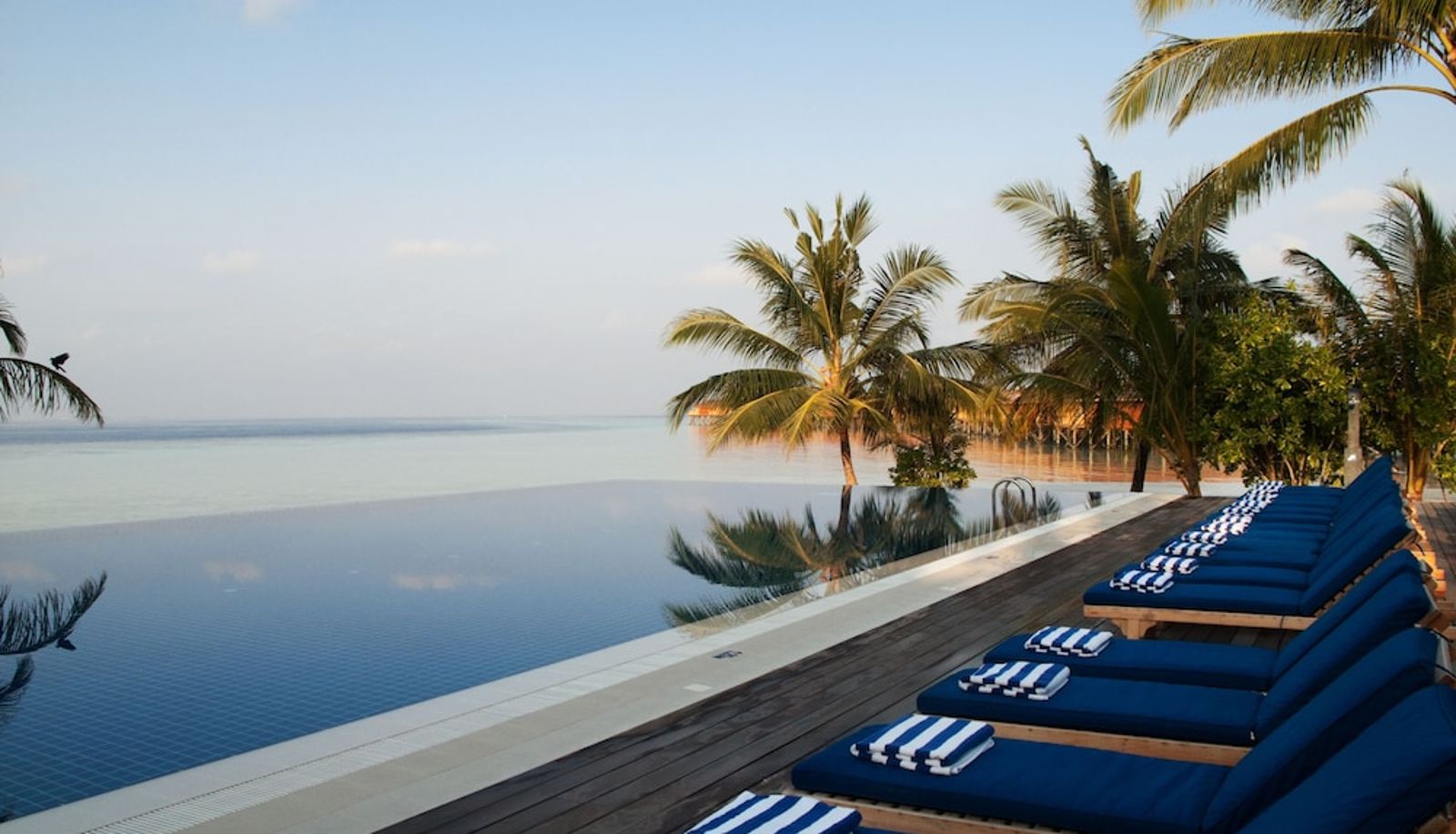 Pool - Vilamendhoo Island Resort & Spa