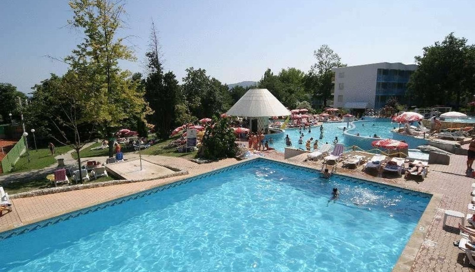 Pool - Hotel Orchidea