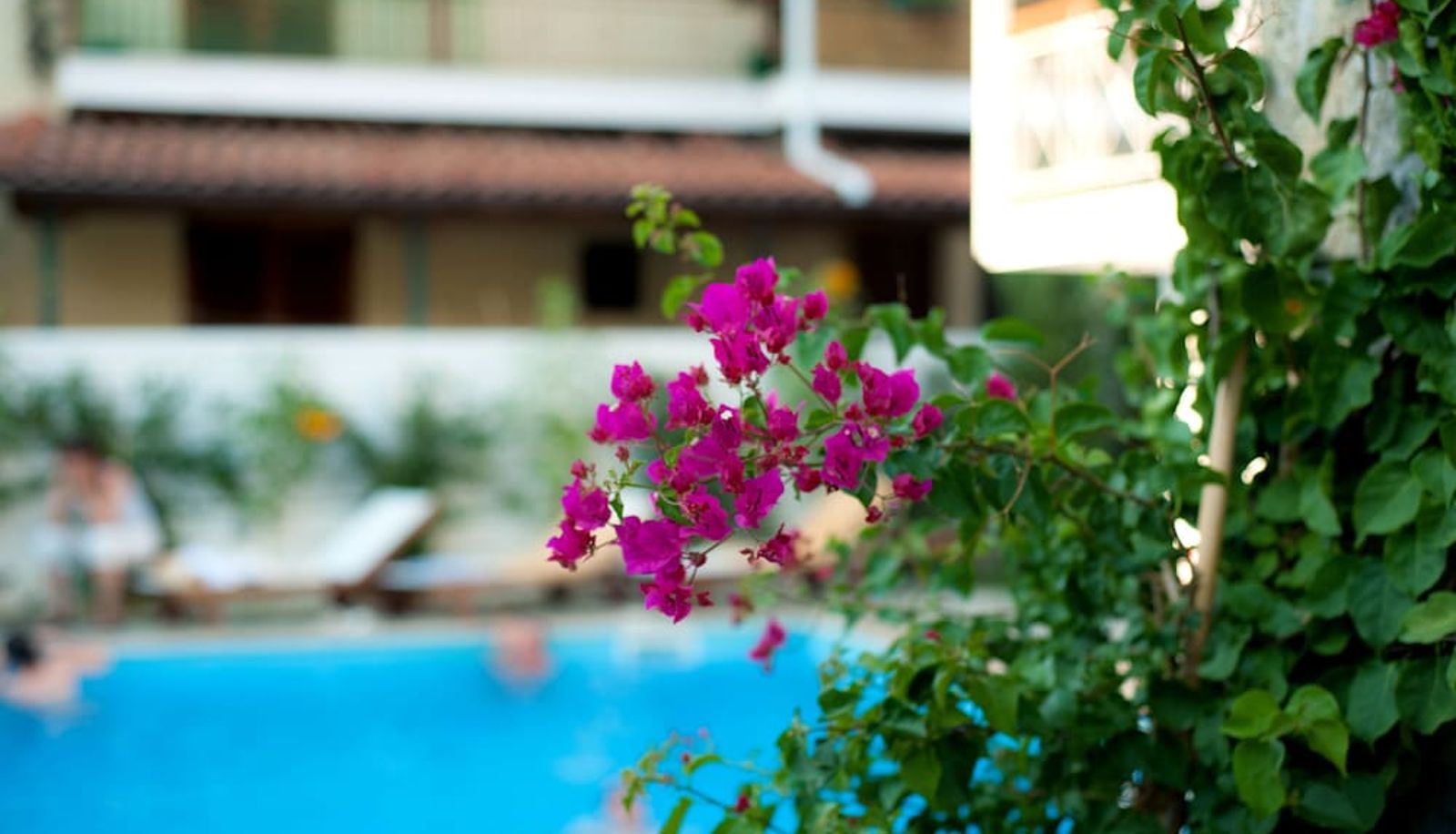 Pool - Neda Hotel
