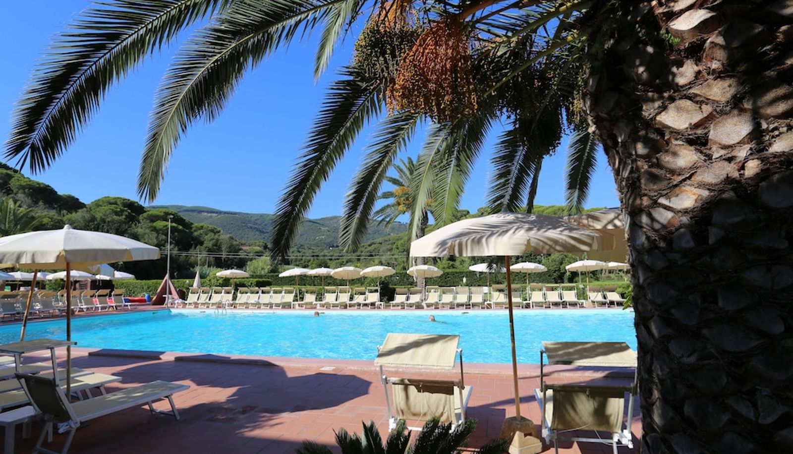 Pool - Hotel & Residence Le Acacie