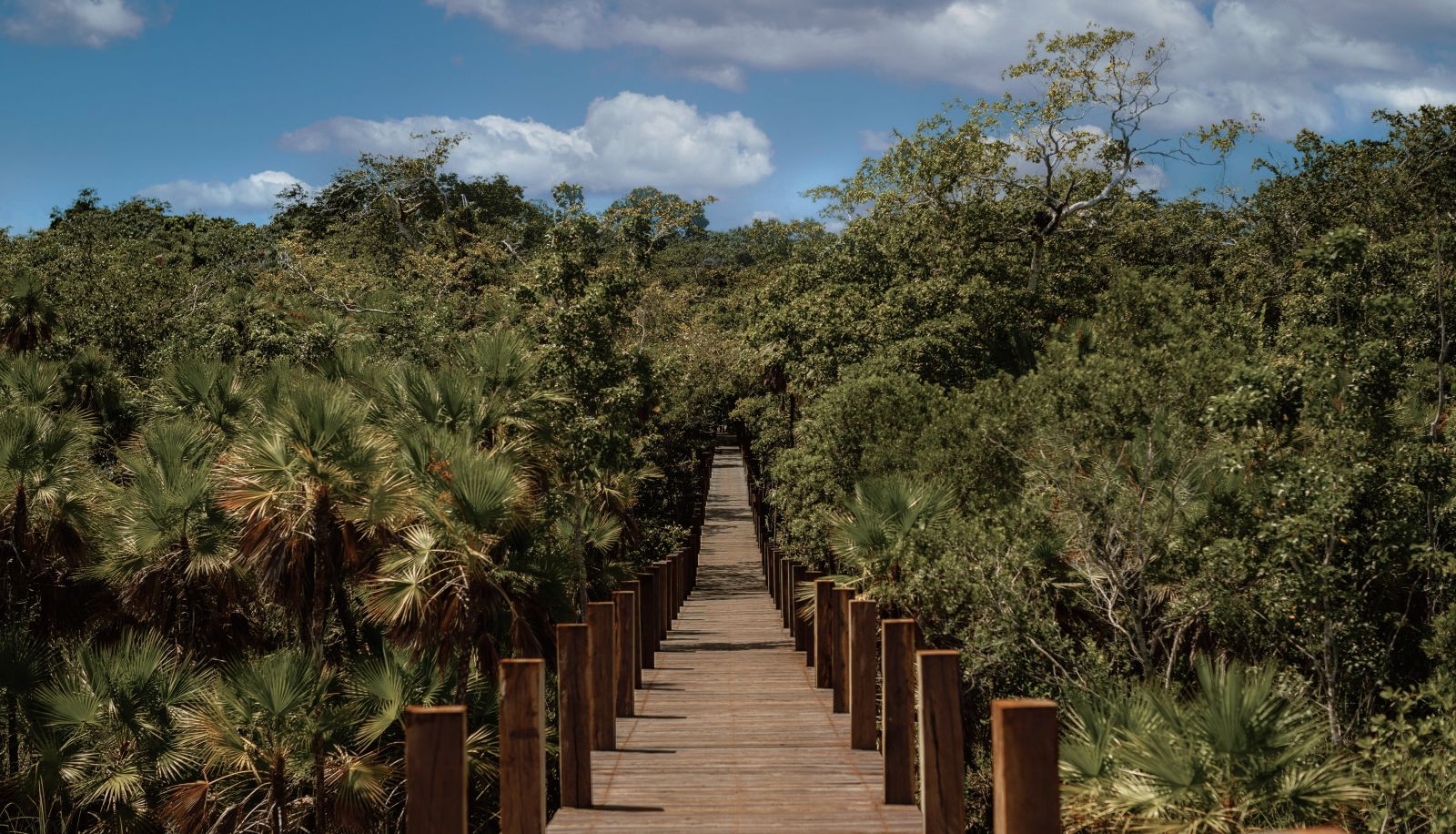 Interior view - Boca de Agua