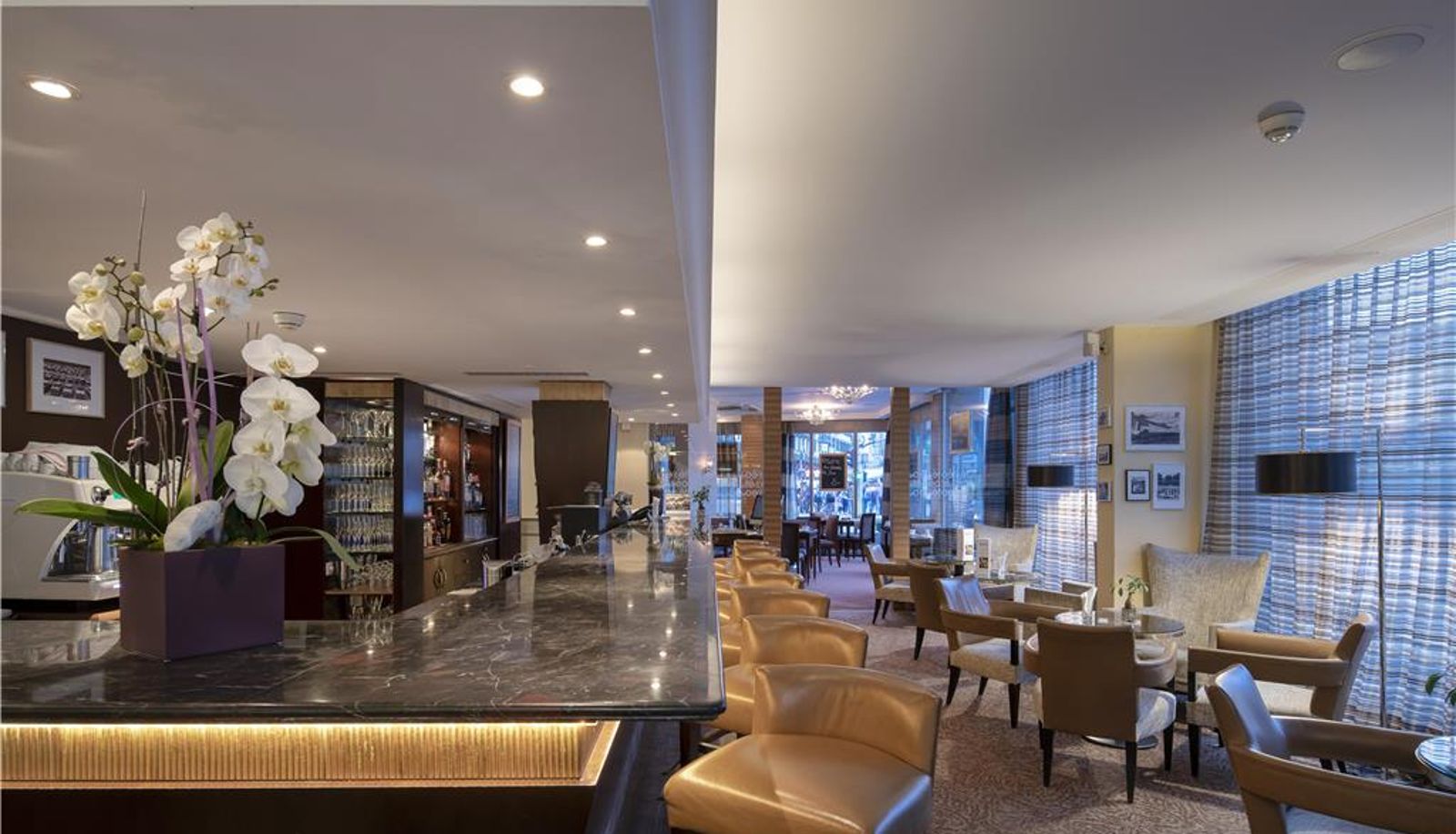 Bar - Hotel Warwick Geneva