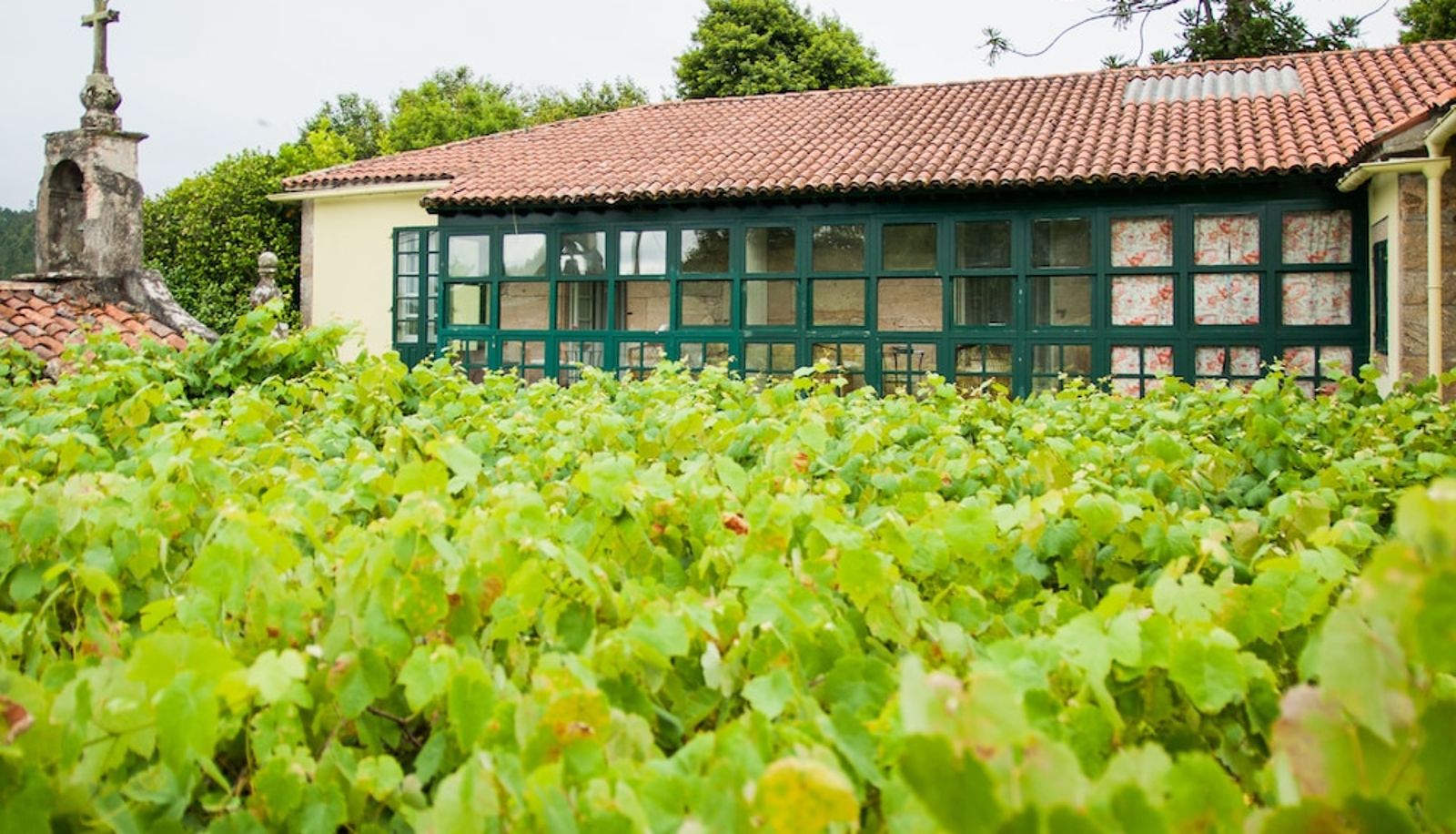 Jardin - Pazo Cibrán