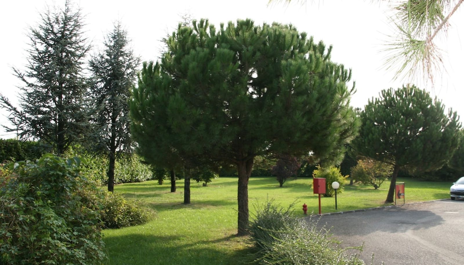 Ogród - Hotel Fiore