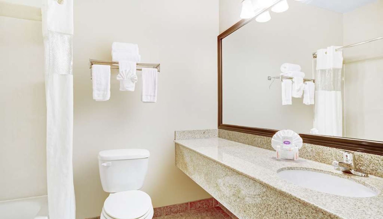 Zimmer - Baymont by Wyndham Dallas/ Love Field