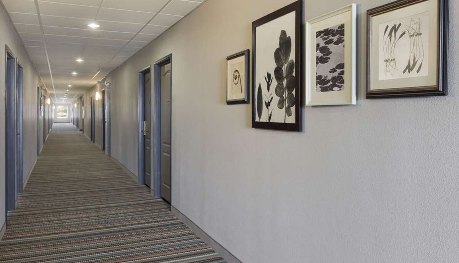 Lobby - Country Inn & Suites by Radisson Harrisonburg VA