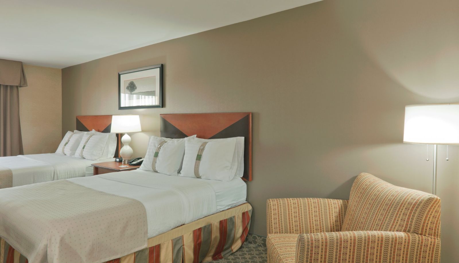 Zimmer - Holiday Inn Express & Suites CARBONDALE - UNIVERSITY AREA by IHG