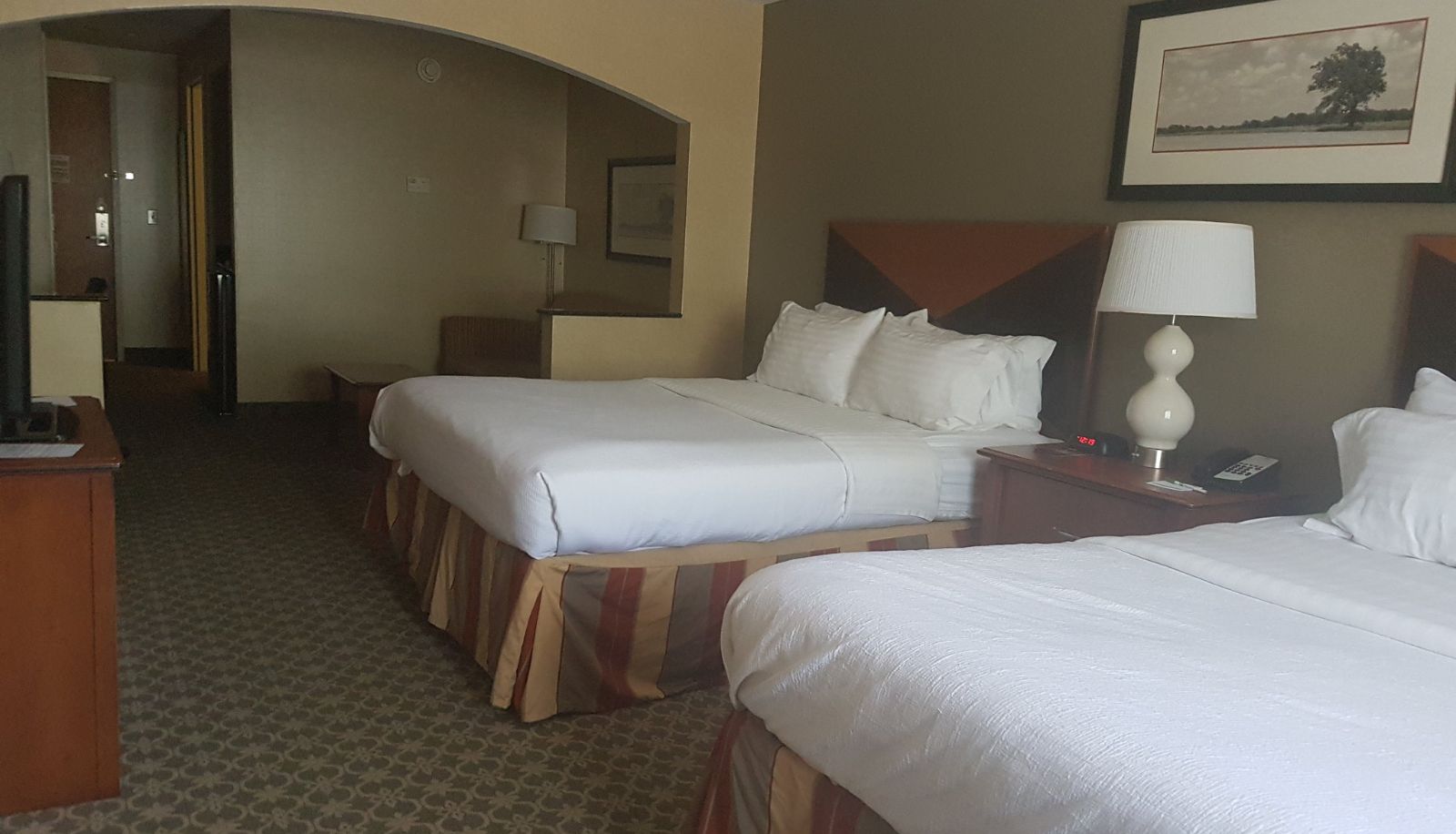 Zimmer - Holiday Inn Express & Suites CARBONDALE - UNIVERSITY AREA by IHG
