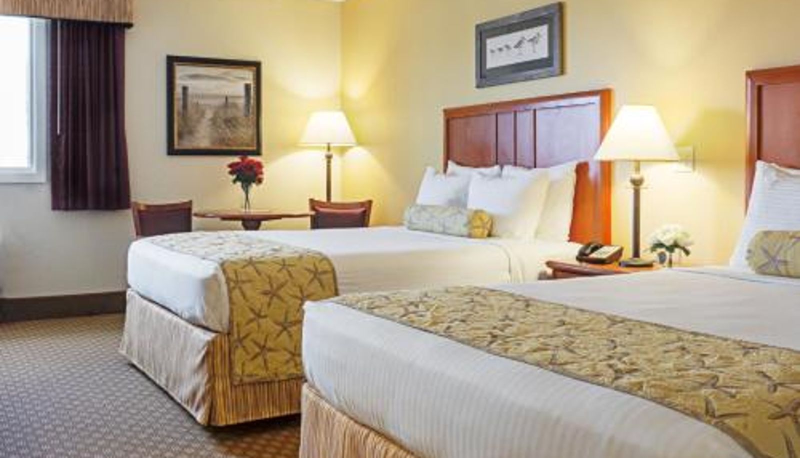 Zimmer - Bayside Resort Hotel