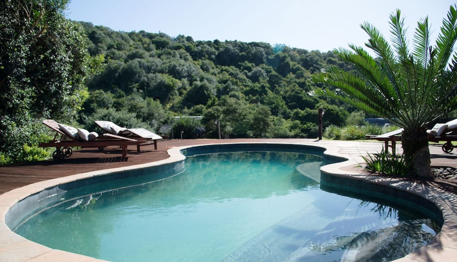 Pool - Premier Resort Mpongo Private Game Reserve