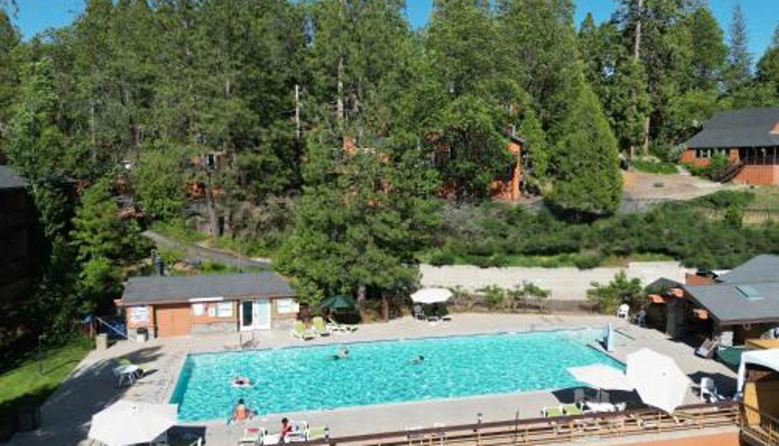 Pool - The Pines Resort & Conference Center