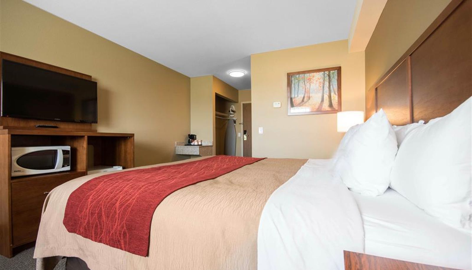 Room - Comfort Inn & Suites