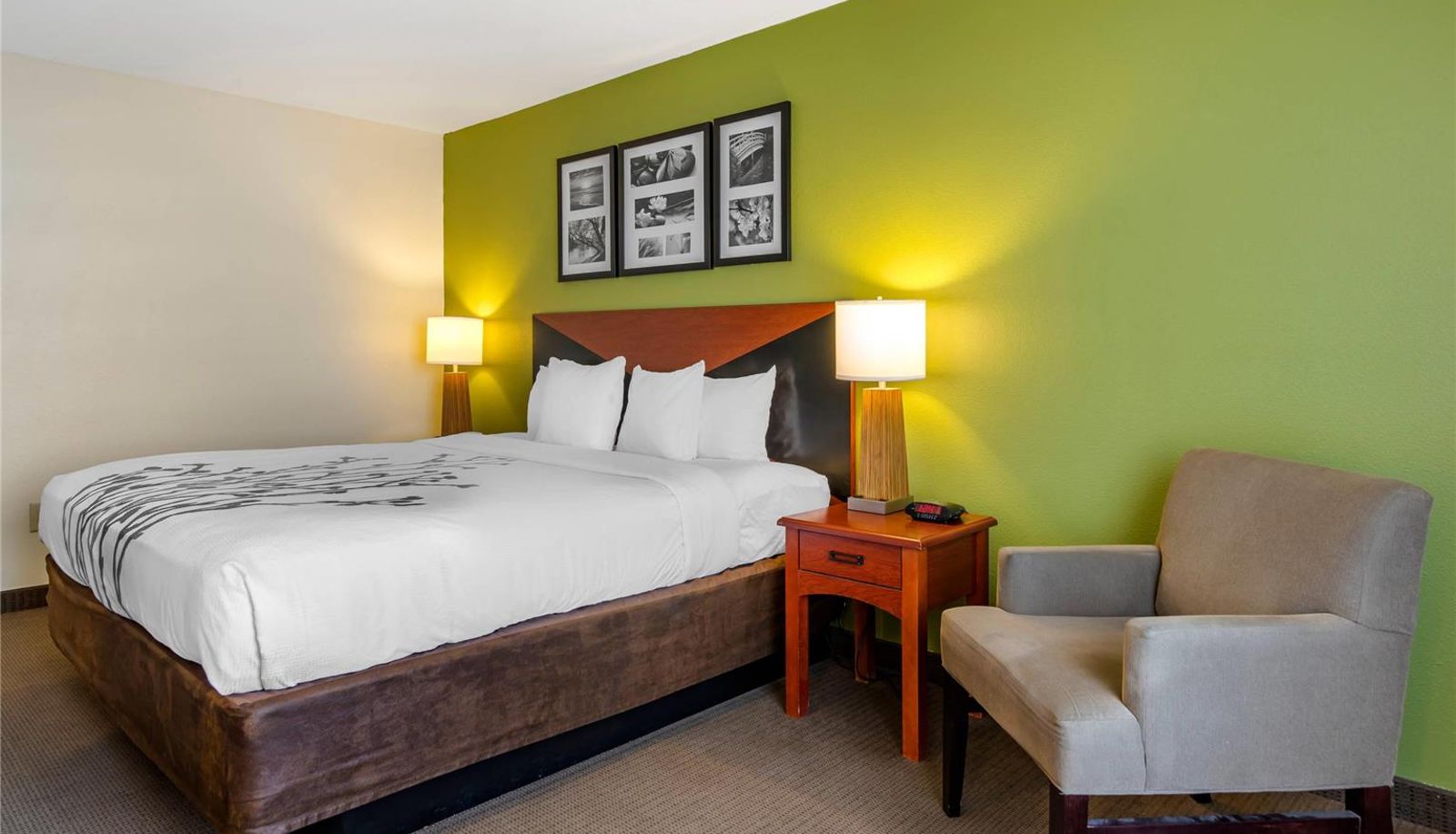 Zimmer - Sleep Inn & Suites Stockbridge Atlanta South