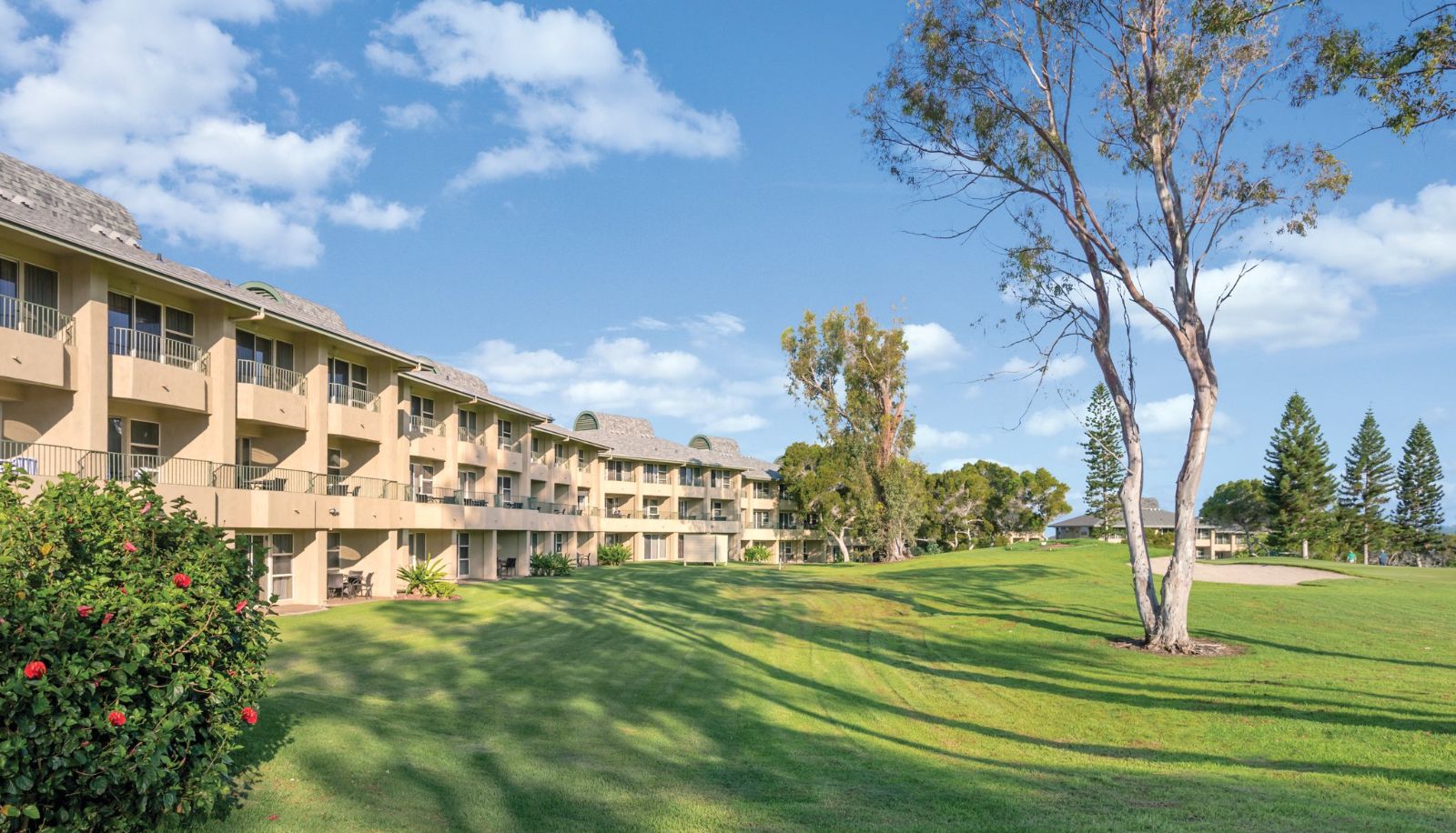 Info - Paniolo Greens At Waikoloa