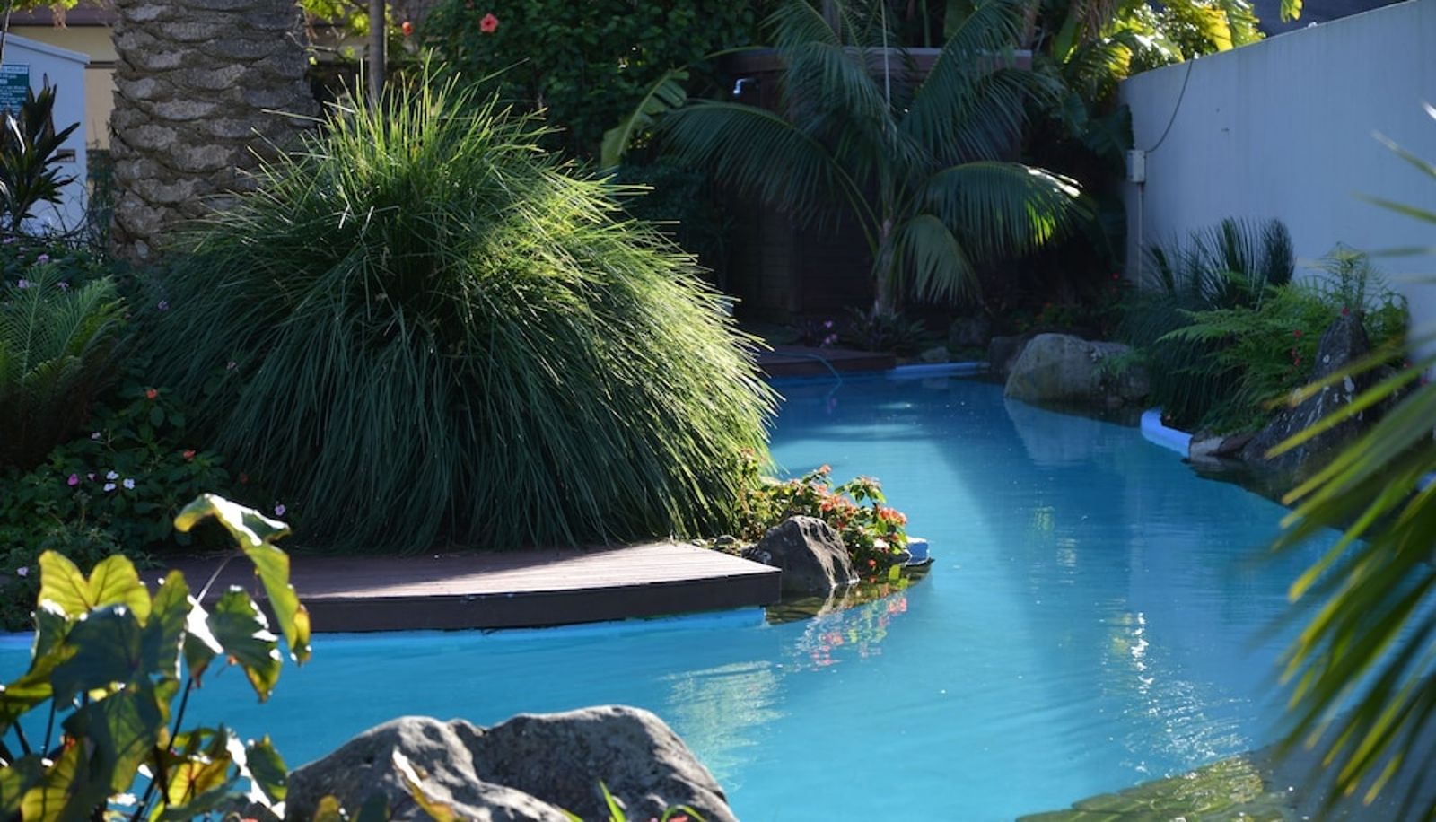 Zwembad - Paihia Pacific Resort Hotel