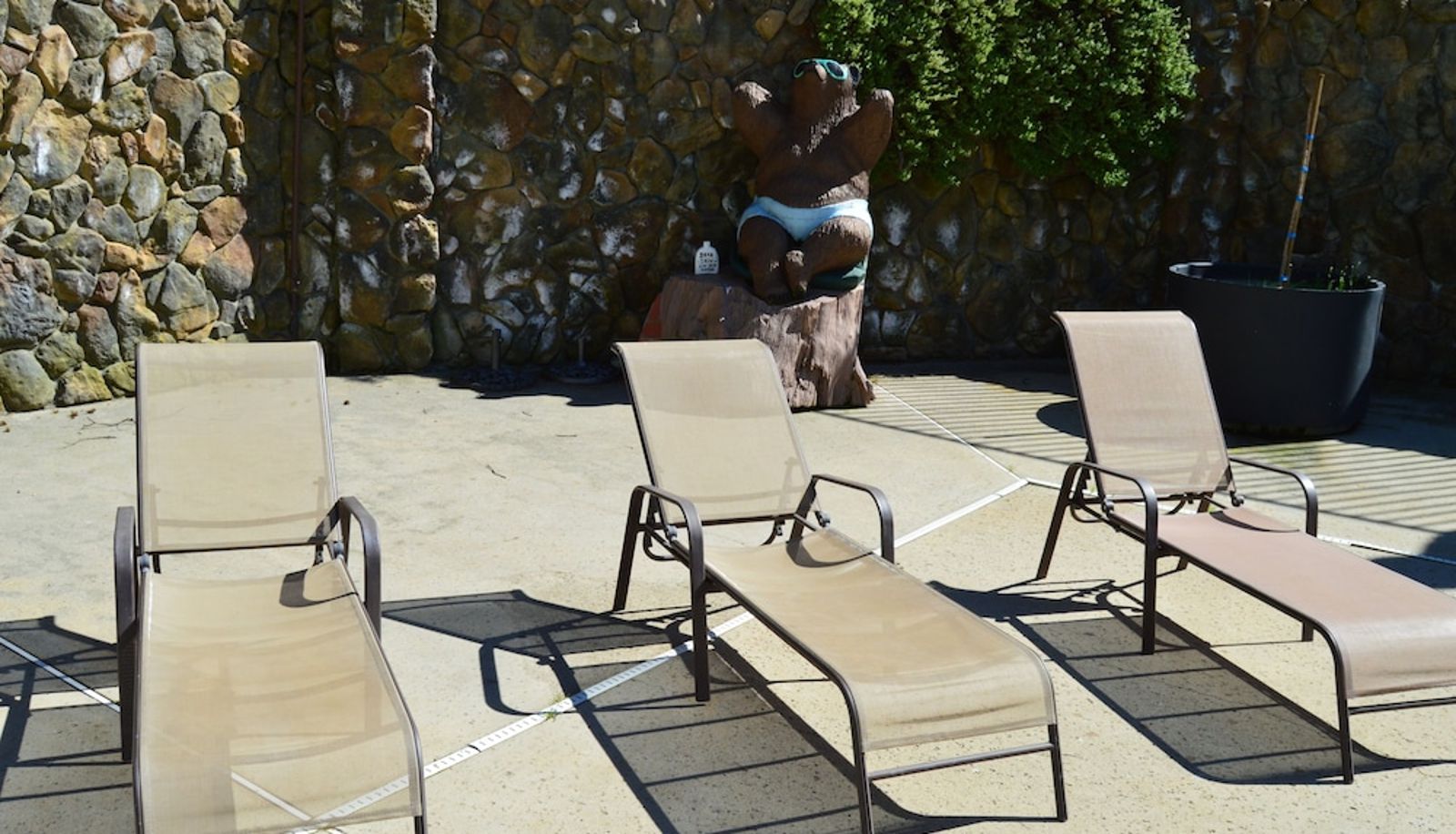 Piscine - Cedar Lodge
