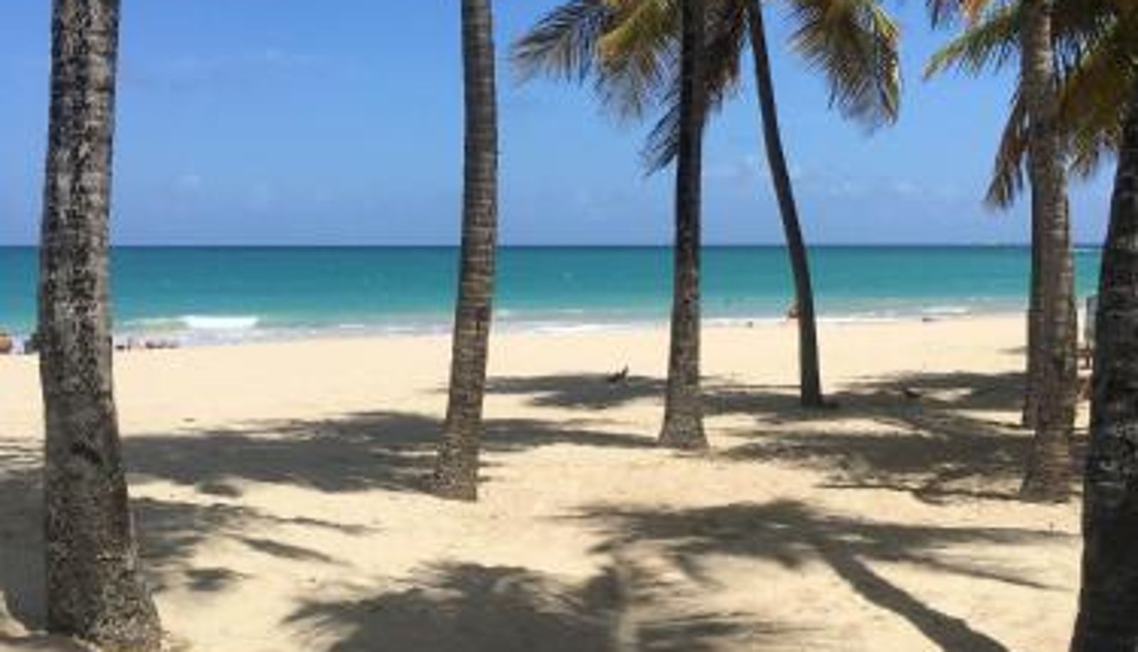 Info - Borinquen Beach Inn