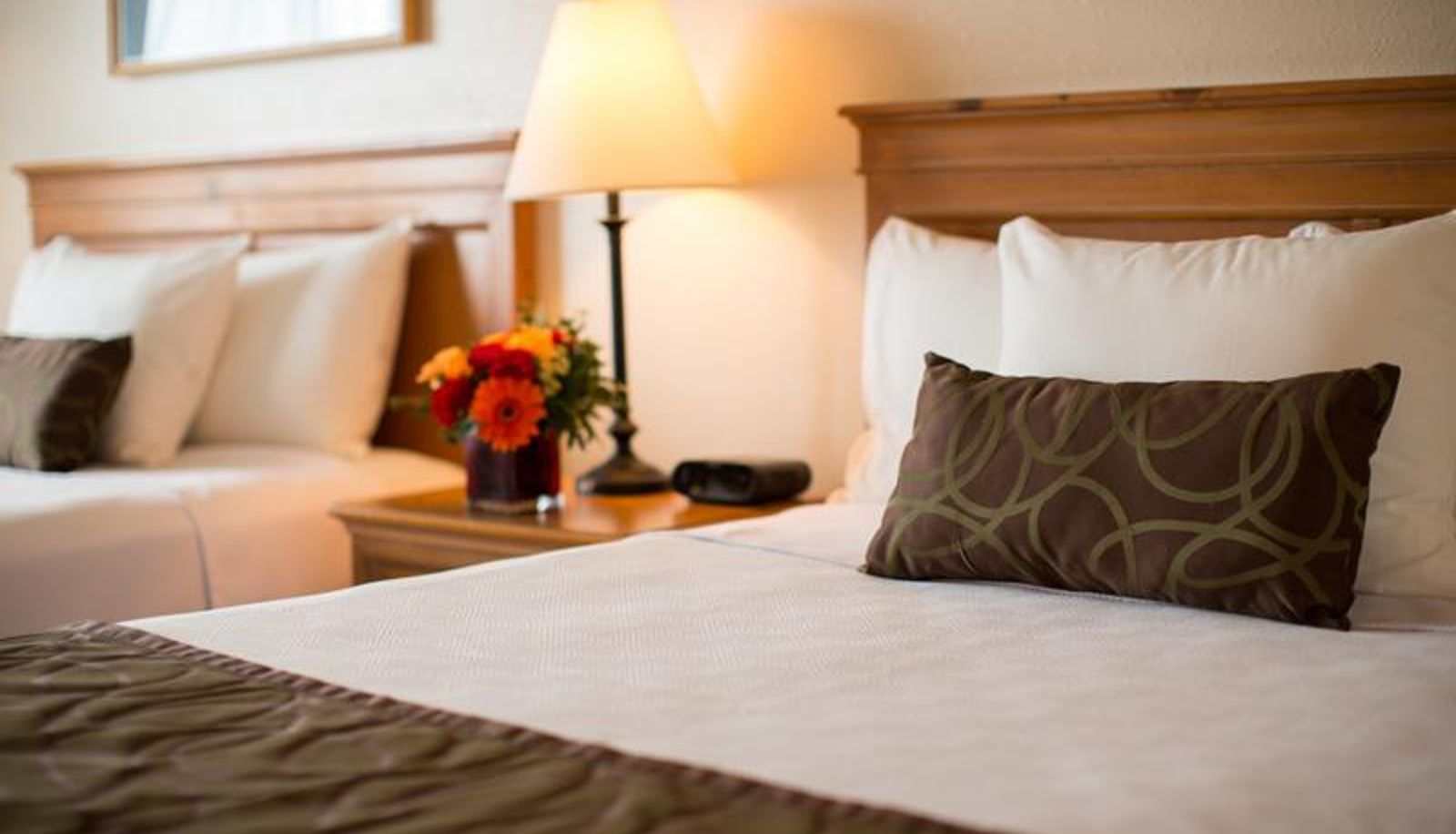 Kamer - Coast Inn at Lake Hood