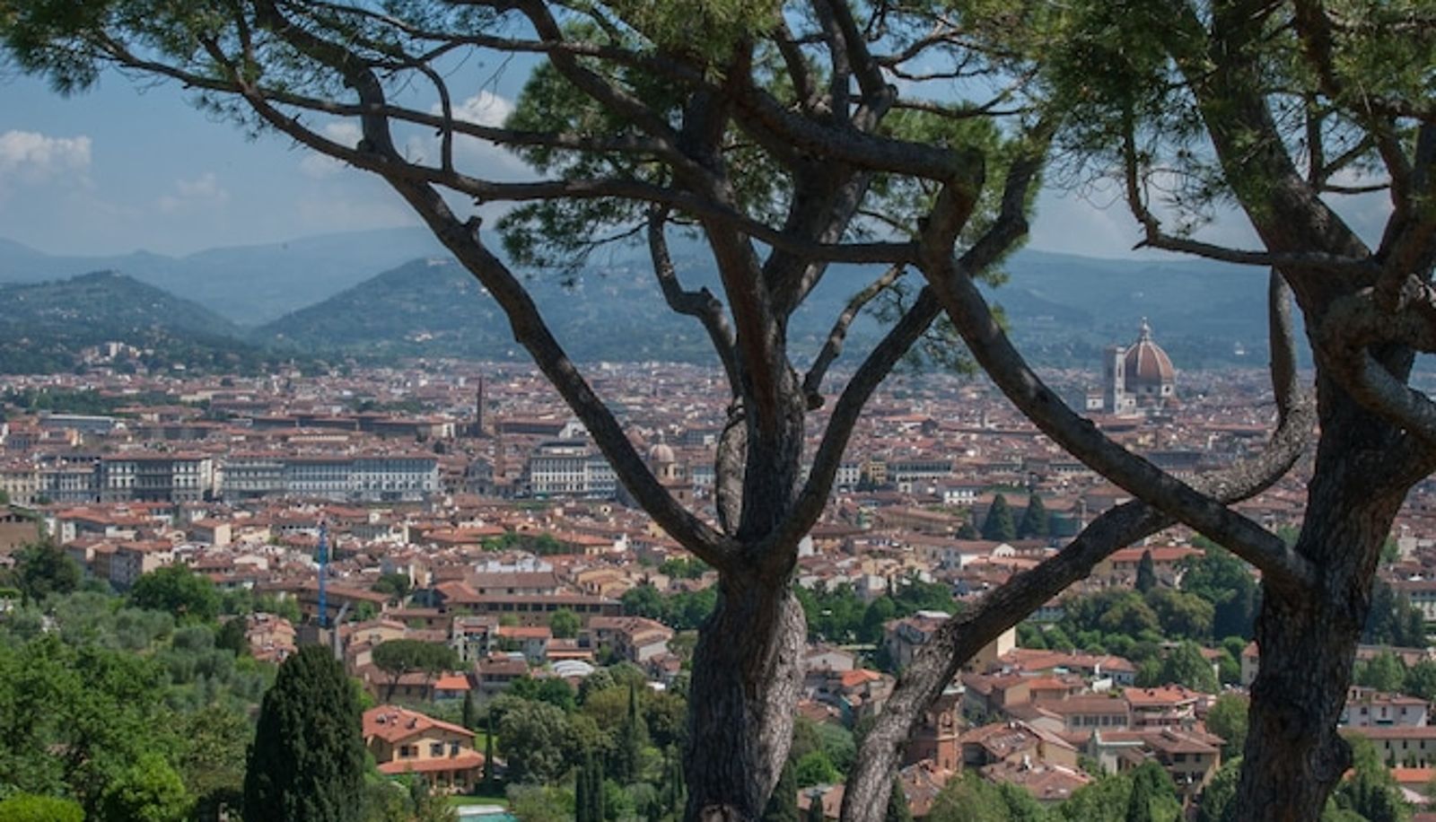 Garden - Torre di Bellosguardo