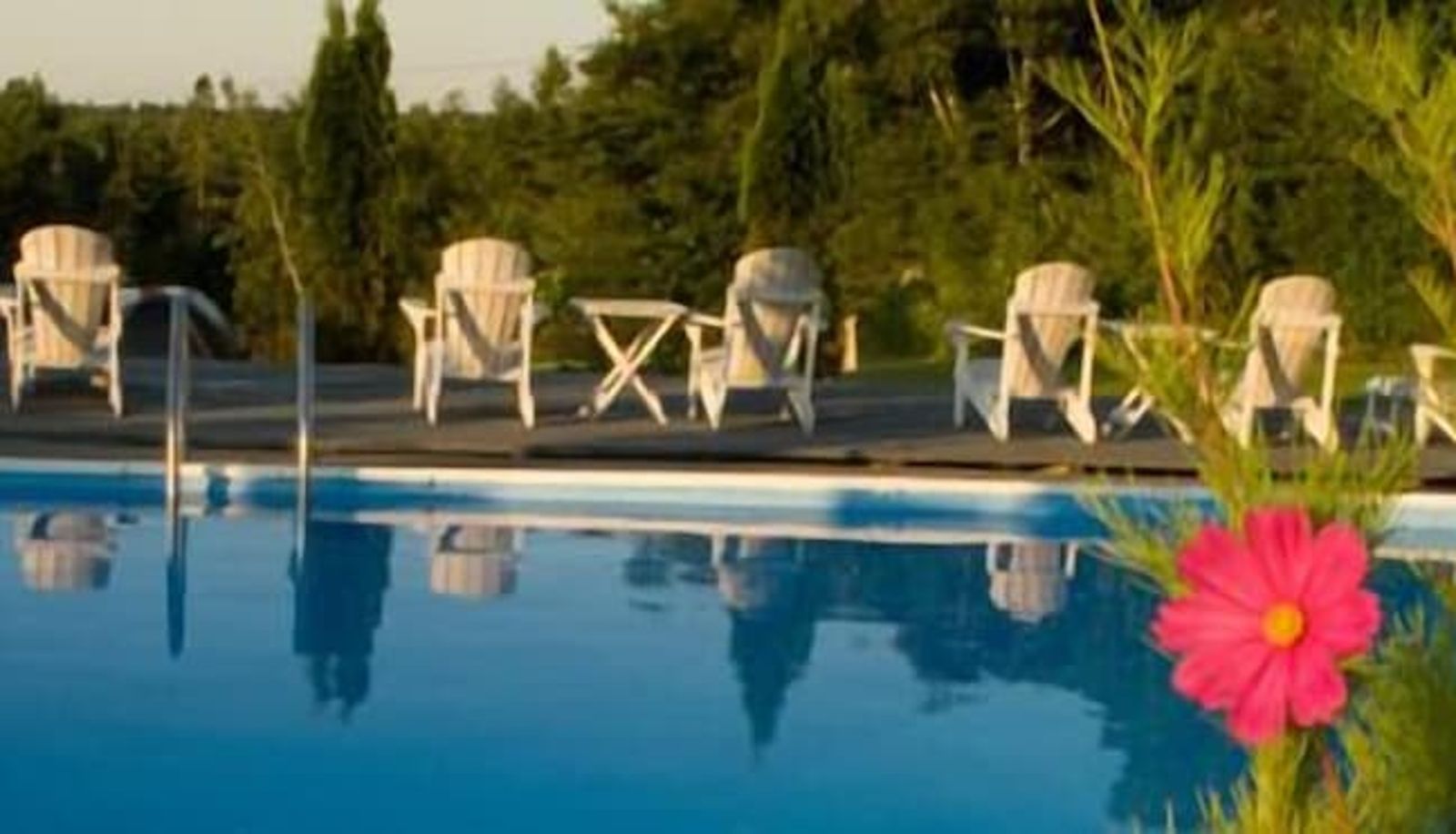 Pool - Rossmount Inn