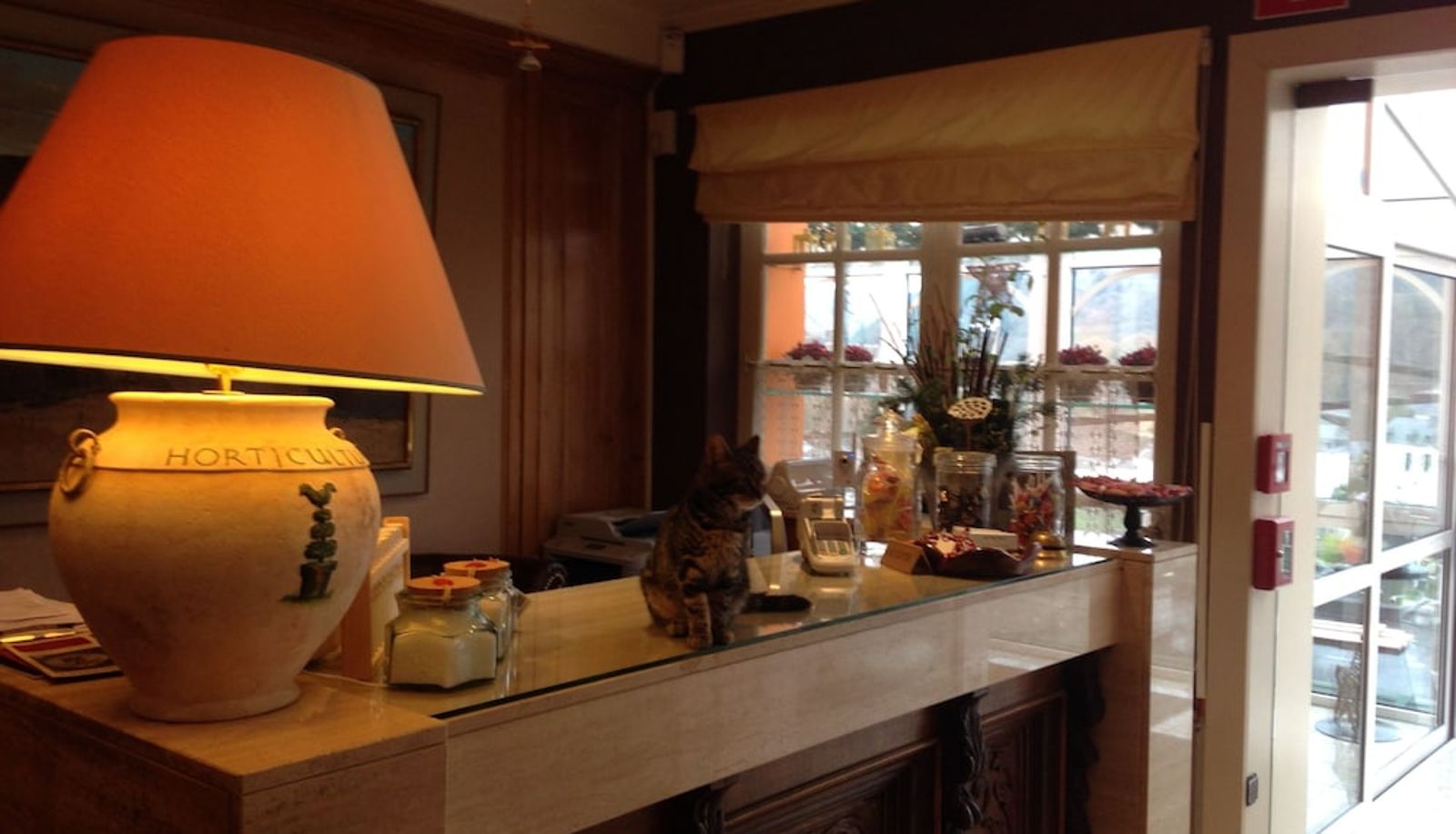 Recepción - Hotel Cosy