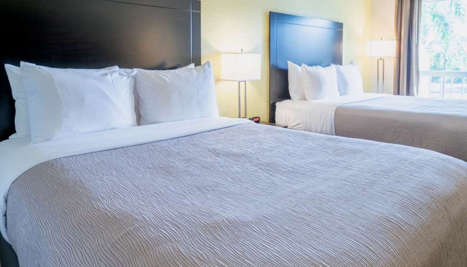 Zimmer - Quality Inn Palm Beach International Airport