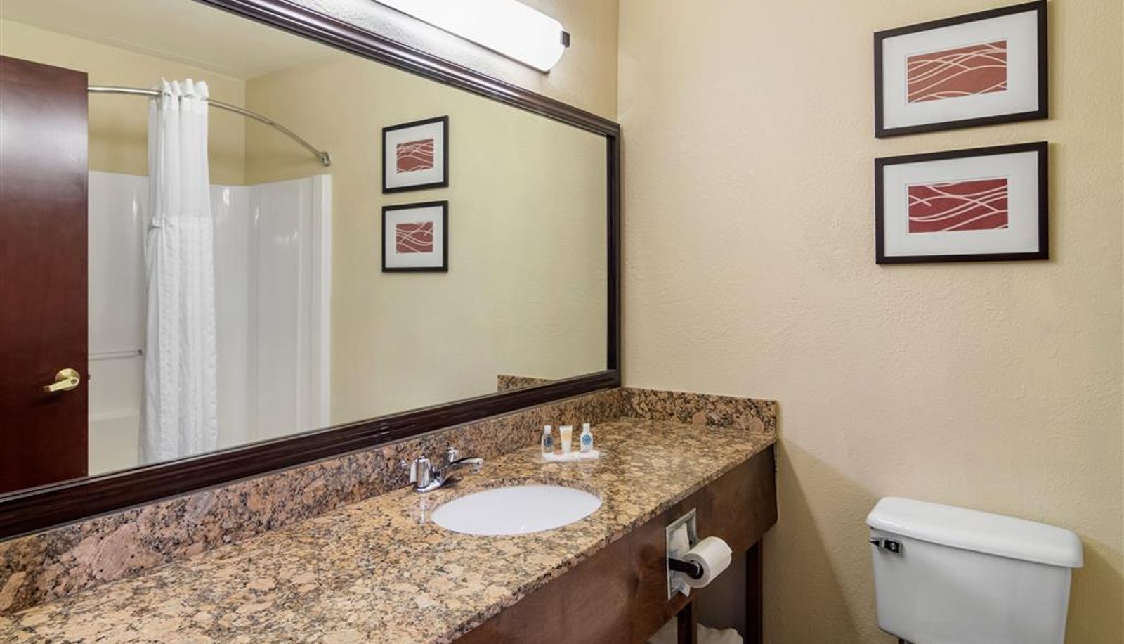 Room - Comfort Inn & Suites Suwanee - Sugarloaf