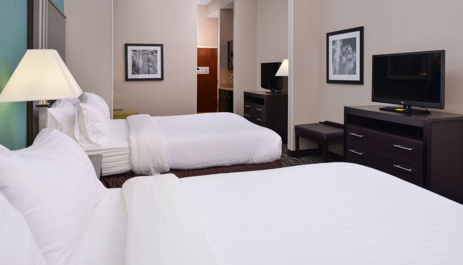 Kamer - Holiday Inn Express & Suites YOUNGSTOWN (N. LIMA/BOARDMAN) by IHG