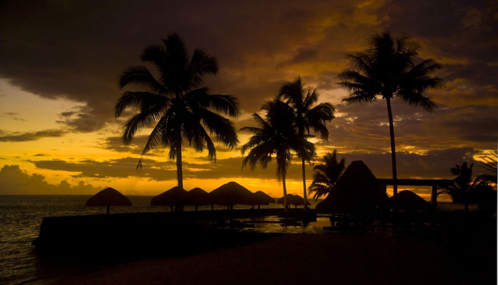 Zwembad - Coconuts Beach Club Resort & Spa