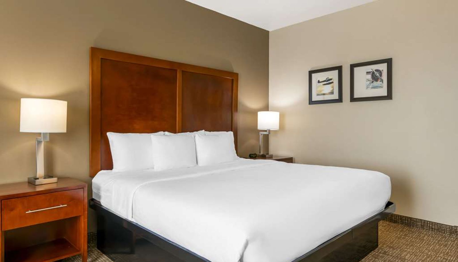 Zimmer - Comfort Inn & Suites Tavares North