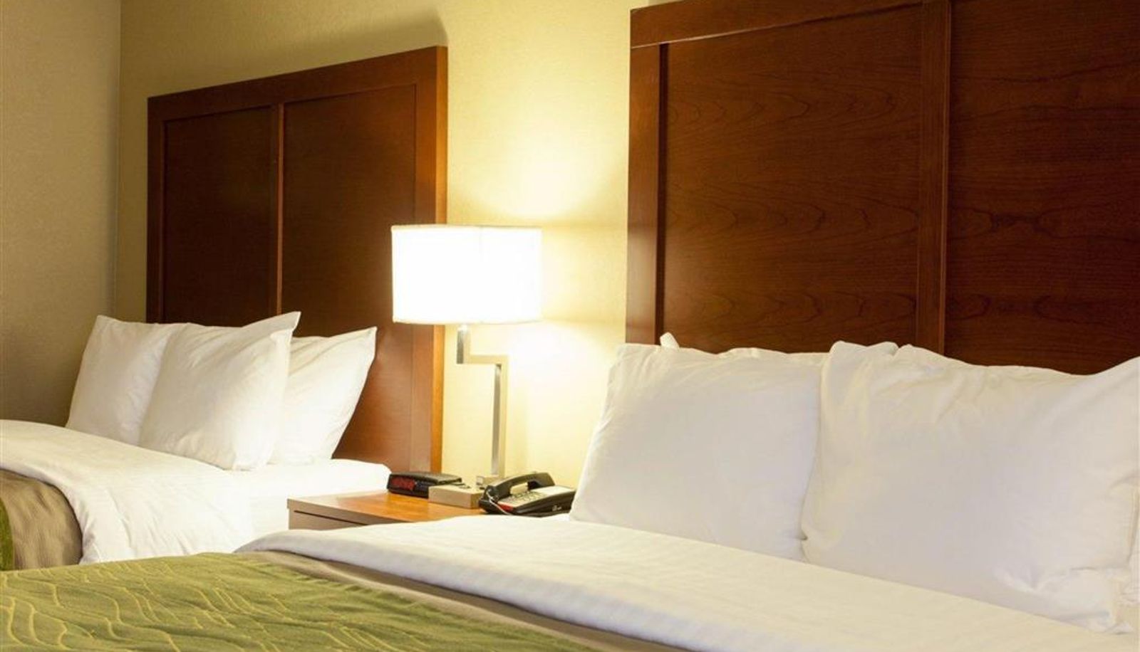 Zimmer - Quality Inn & Suites I-40 East