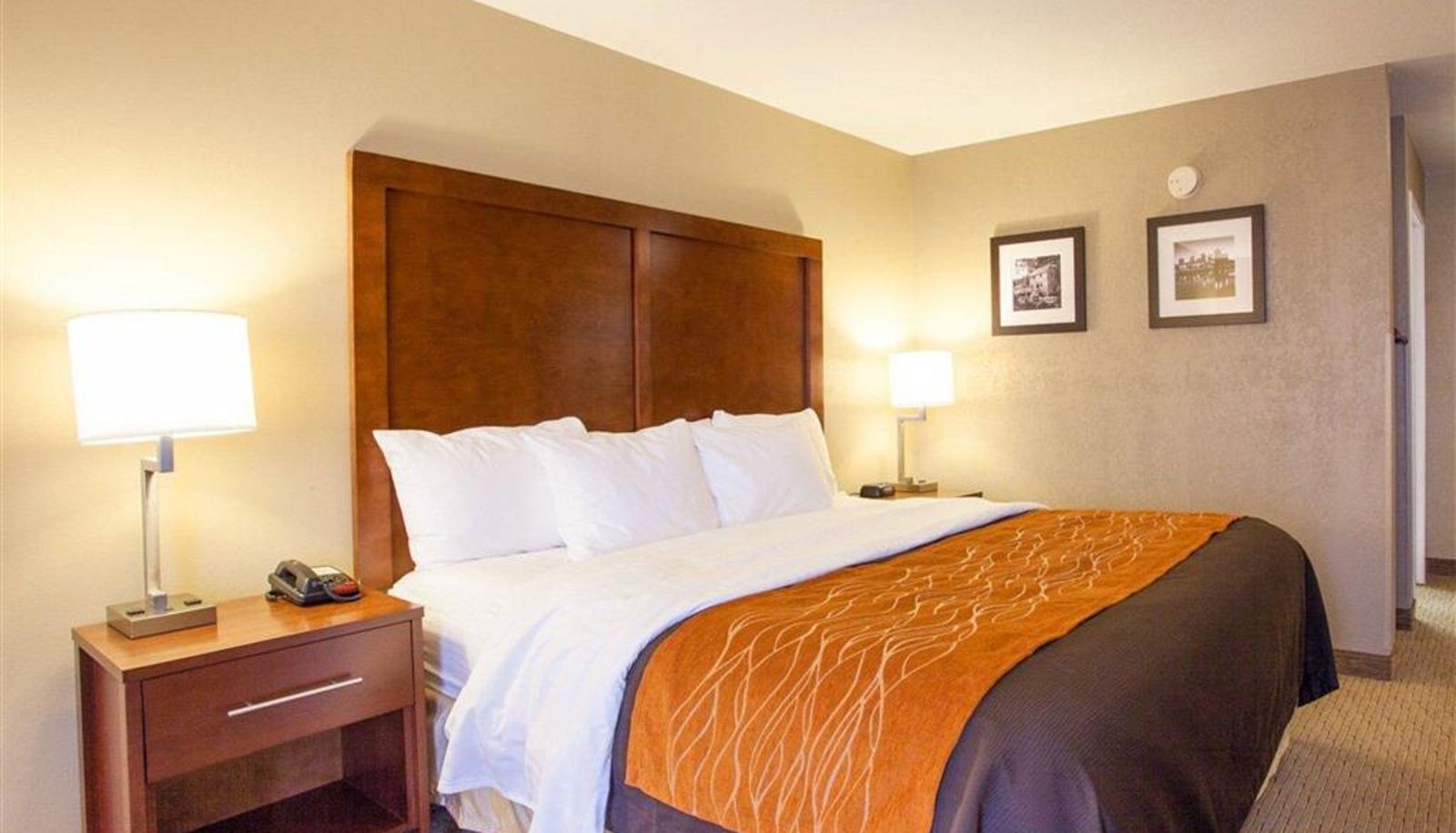 Zimmer - Quality Inn & Suites I-40 East