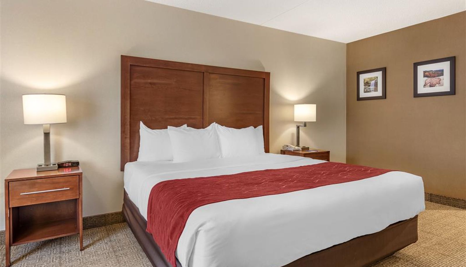 Zimmer - Holiday Inn Express & Suites MOREHEAD by IHG
