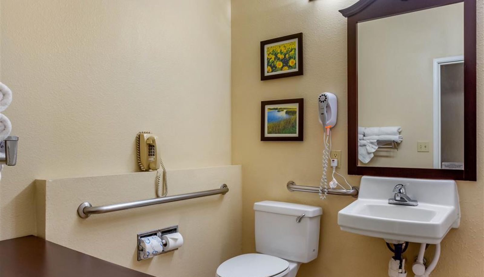 Zimmer - Comfort Suites Plainview
