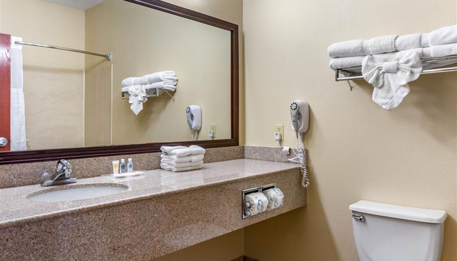 Zimmer - Comfort Suites Plainview