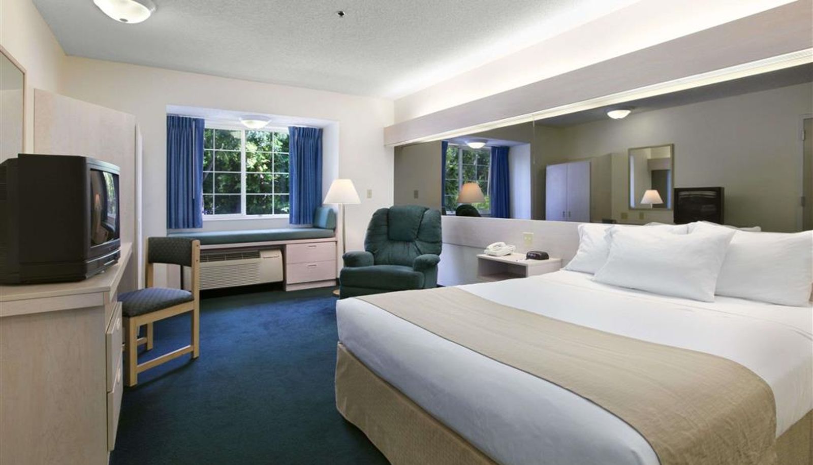 Room - Microtel Inn & Suites by Wyndham Palm Coast I-95