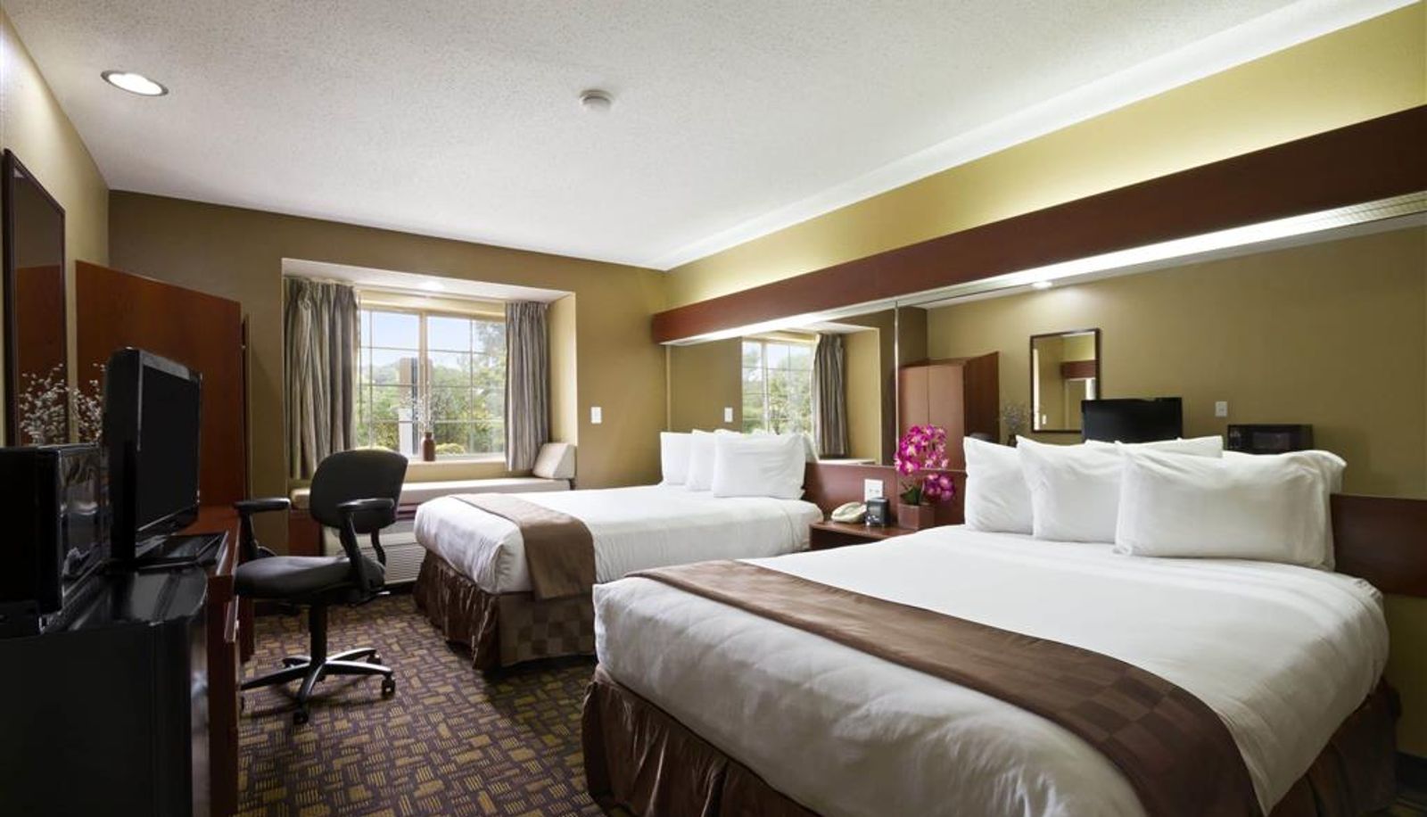 Room - Microtel Inn & Suites by Wyndham Lithonia/Stone Mountain