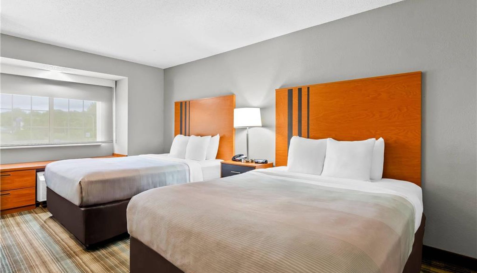 Room - Quality Inn & Suites Bristol North