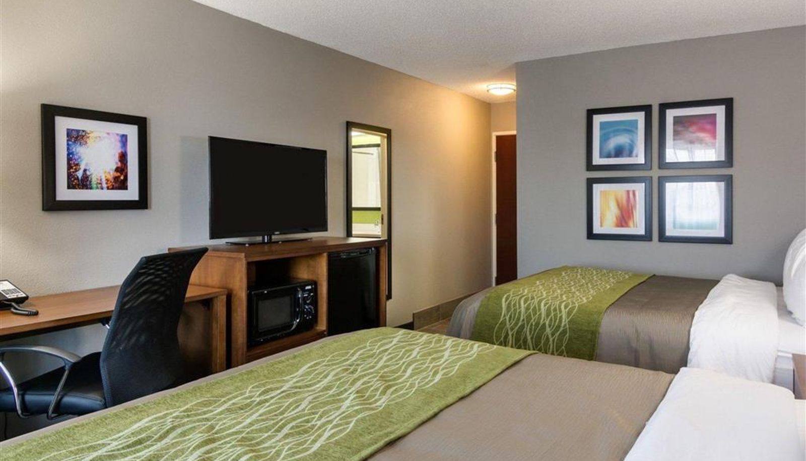 Room - Quality Inn & Suites Ashland near Kings Dominion