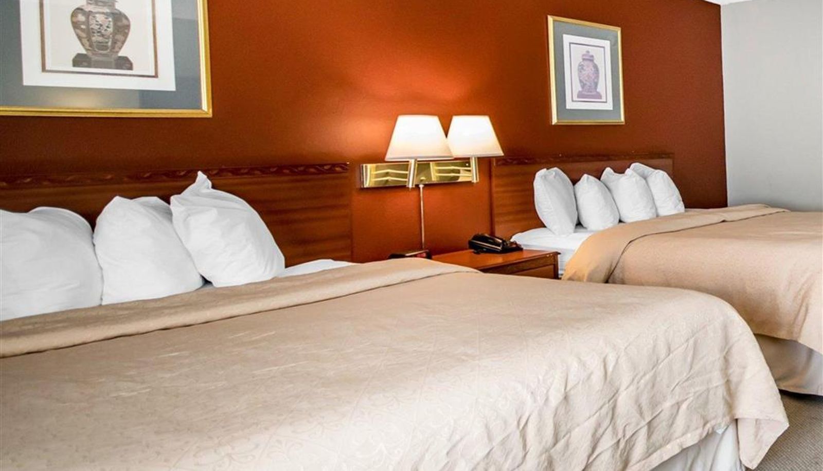 Room - Quality Inn & Suites Elizabethtown