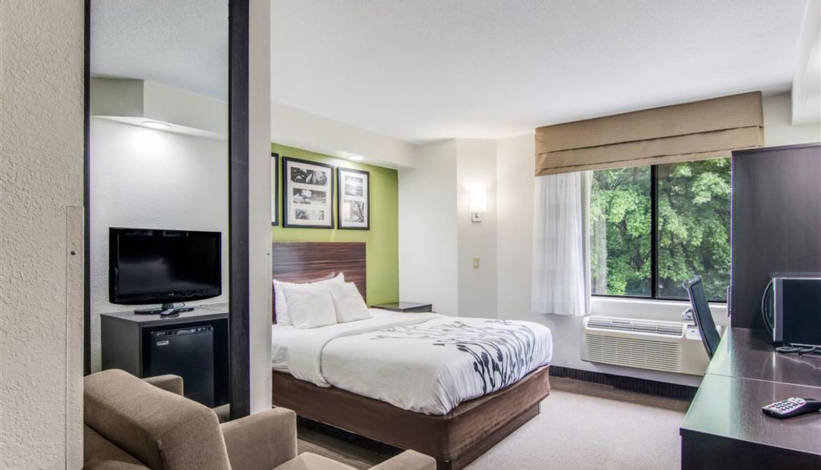 Zimmer - Sleep Inn Austintown - Youngstown West