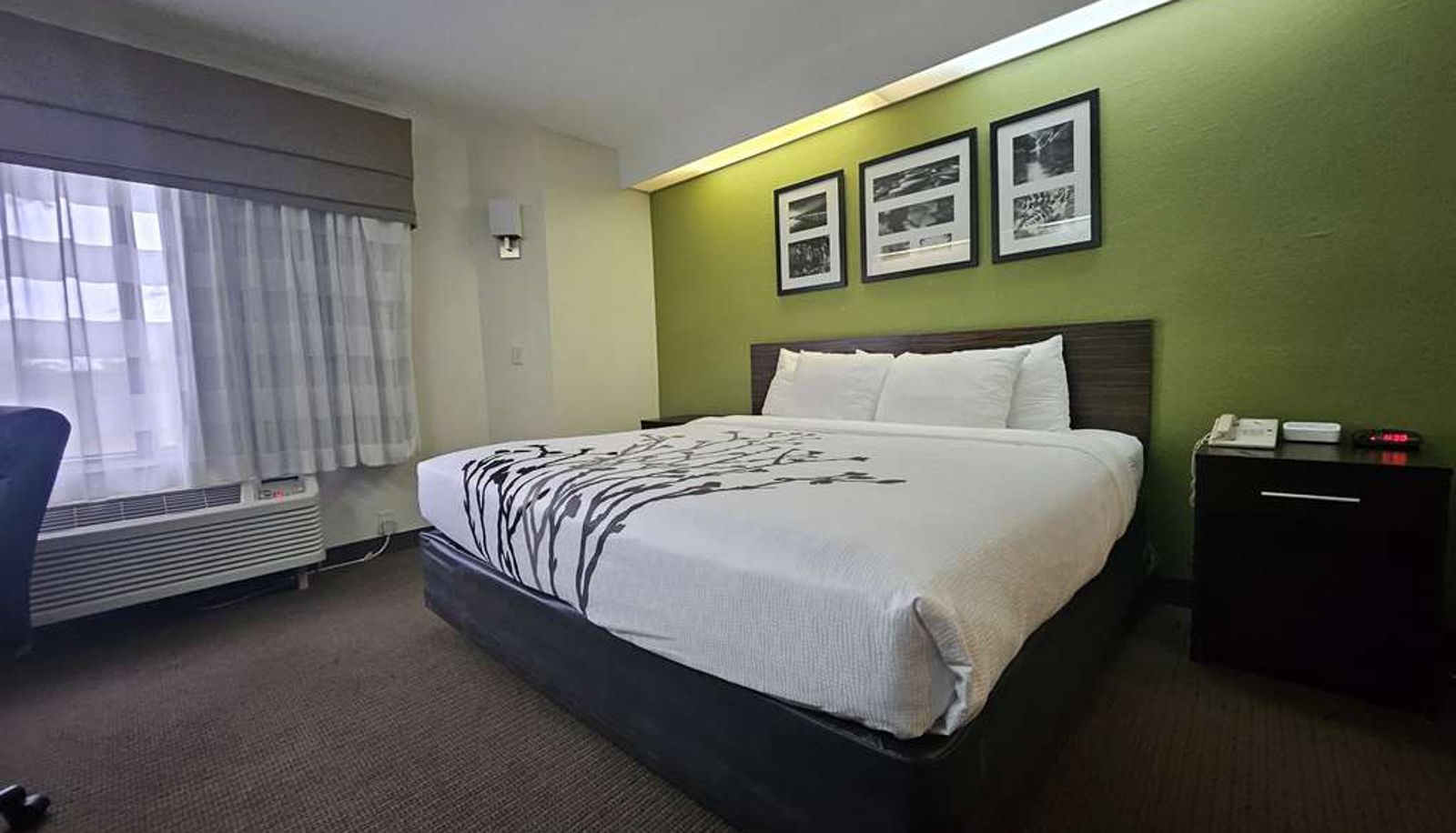 Pokój - SureStay by Best Western Summerville Flowertown