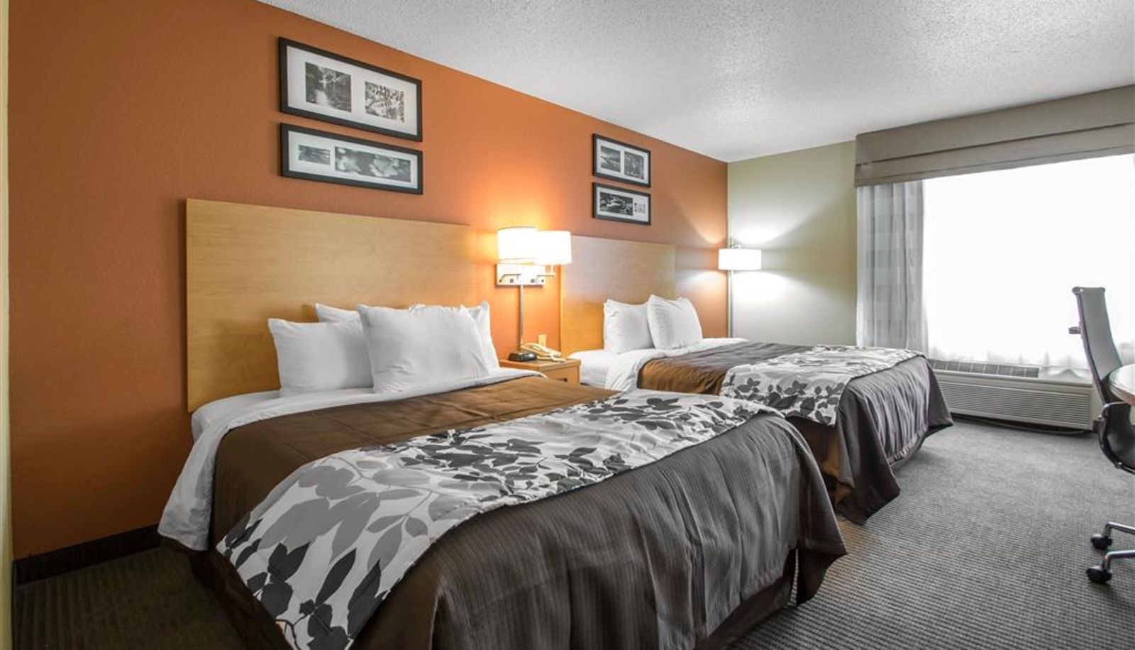 Pokój - Sleep Inn & Suites Sheboygan I-43