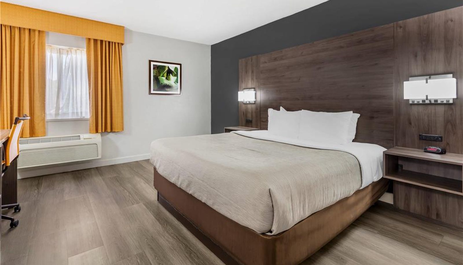 Chambre - Quality Inn & Suites Raleigh Durham Airport