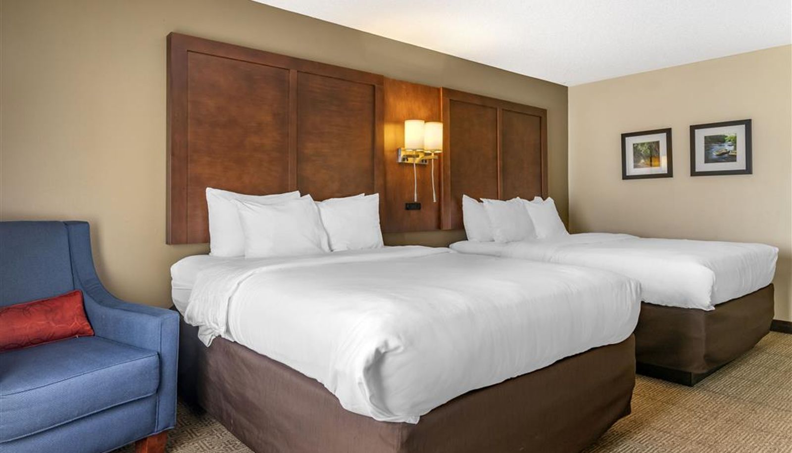 Zimmer - Comfort Inn & Suites Statesboro - University Area
